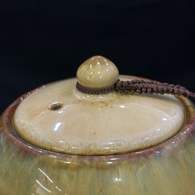 bo-am-chen-men-hoa-bien-vang-kem-hb-05 (19)