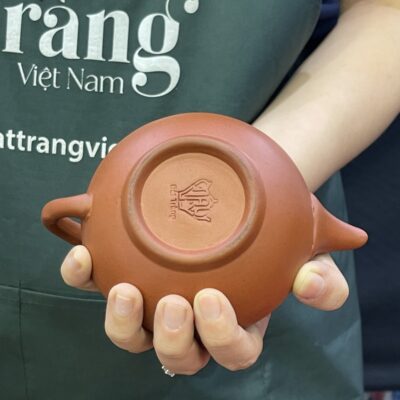 bo-am-chen-tu-sa-hoa-tiet-nhanh-cay-khac-noi-ts-03 (12)